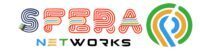 SFERA NETWORKS